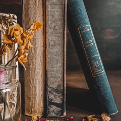 BookRecommendationsIcon240